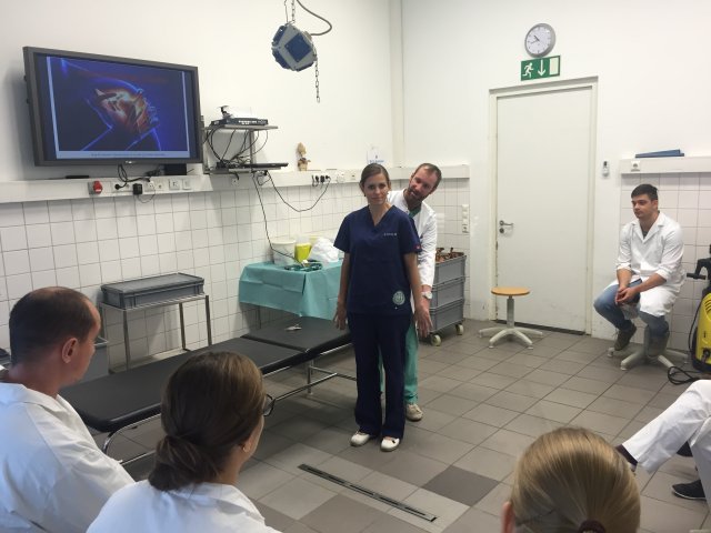 Ambulanztrainer 2015